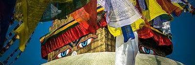 Tmg_Community's profile banner image