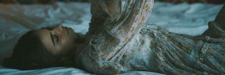 VixenPrecious's profile banner image