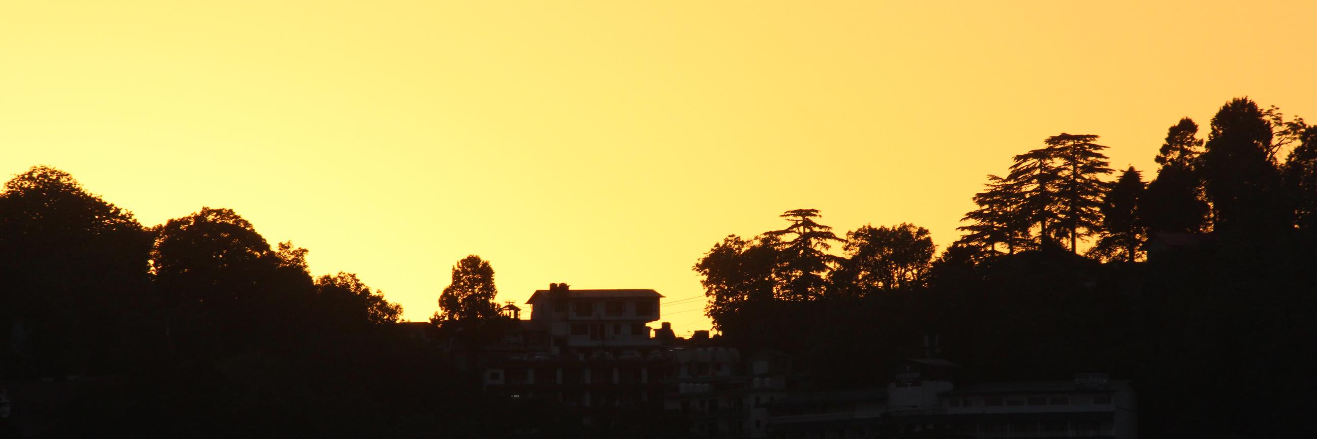 perkypri's profile banner image