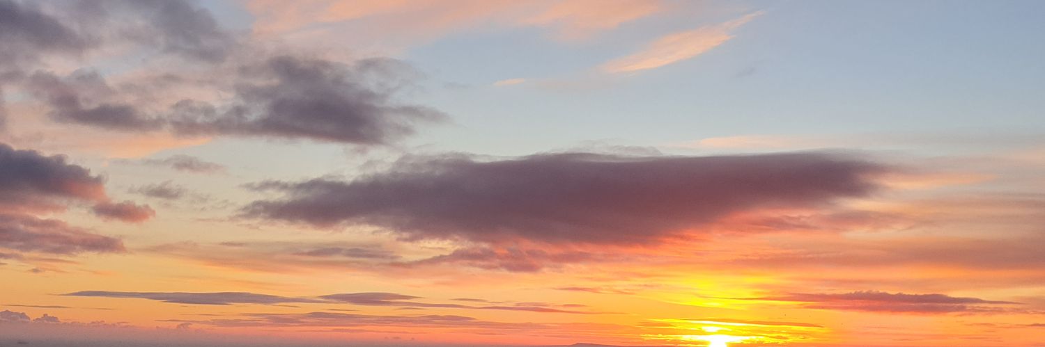 misscreed's profile banner image