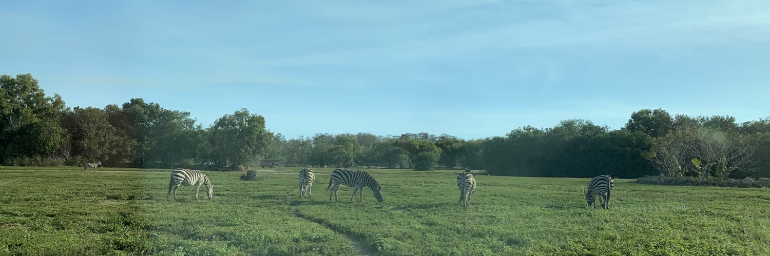 s_gomesss's profile banner image