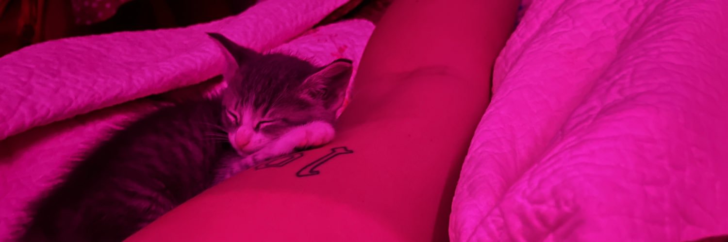 madisonivey23_'s profile banner image