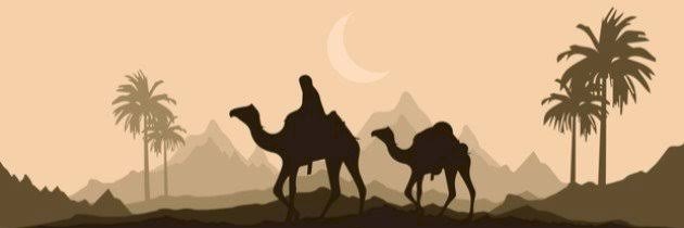 محمد الأمين banner