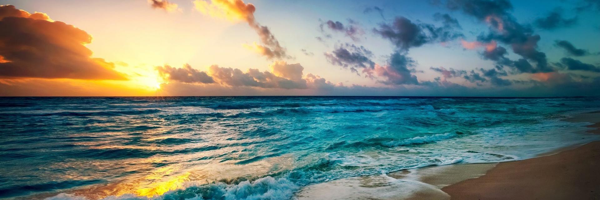 Tim Mandelartz banner