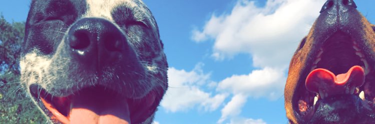 kevfromthwest's profile banner image