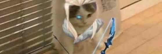 NovinRe's profile banner image