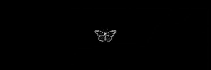 MevaEkc's profile banner image