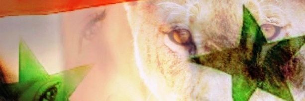_sarinas's profile banner image