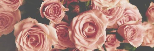 Rose Castella banner