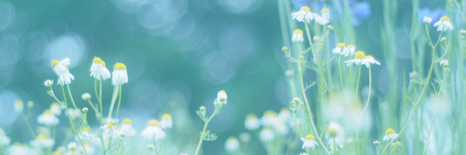 mayumin2000's profile banner image