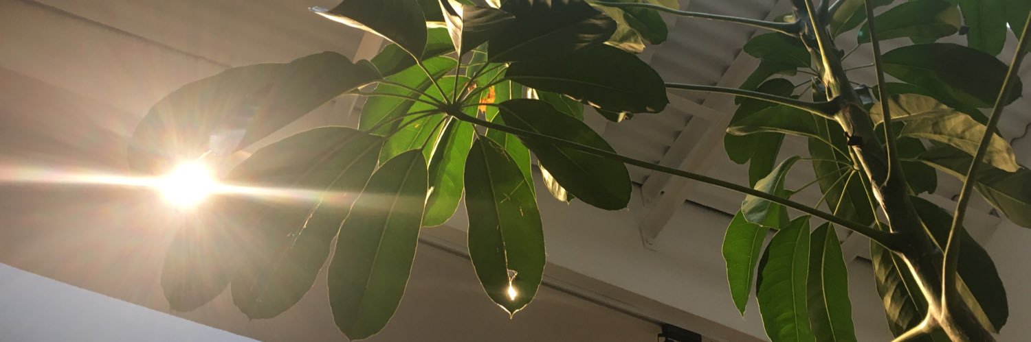 teohyeeqin's profile banner image