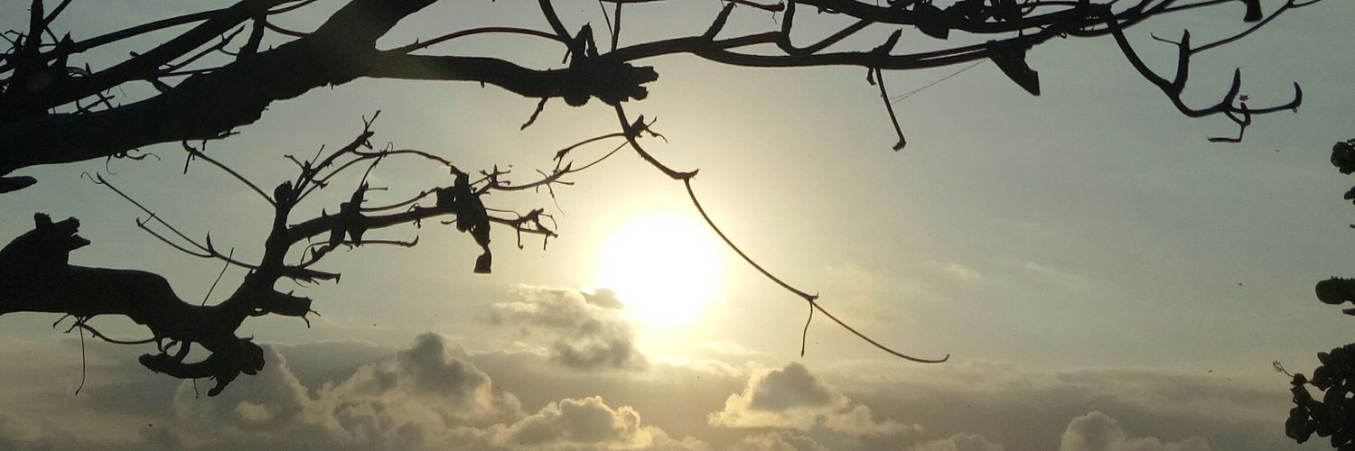 Opetals's profile banner image