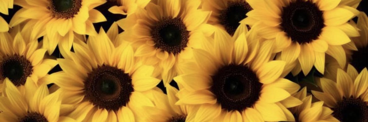 _highsidity's profile banner image