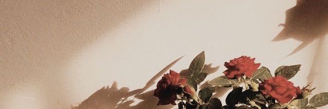 cherrybvnny's profile banner image