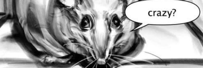 HodDmr's profile banner image