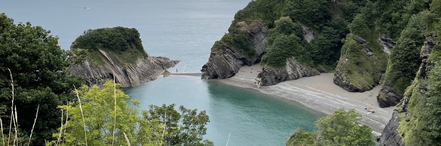 debbie jackson banner