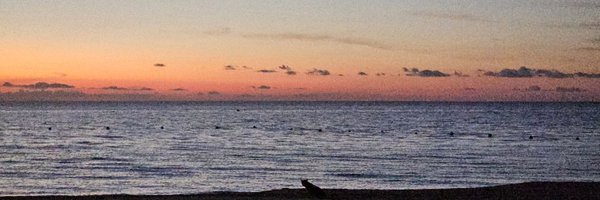 TheBigDaddyD1 Profile Banner