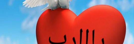 Sokart3teebb's profile banner image