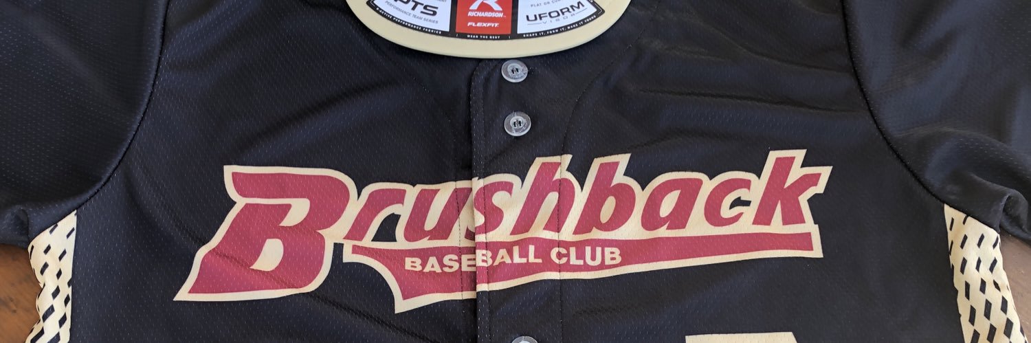 Brushback Baseball banner