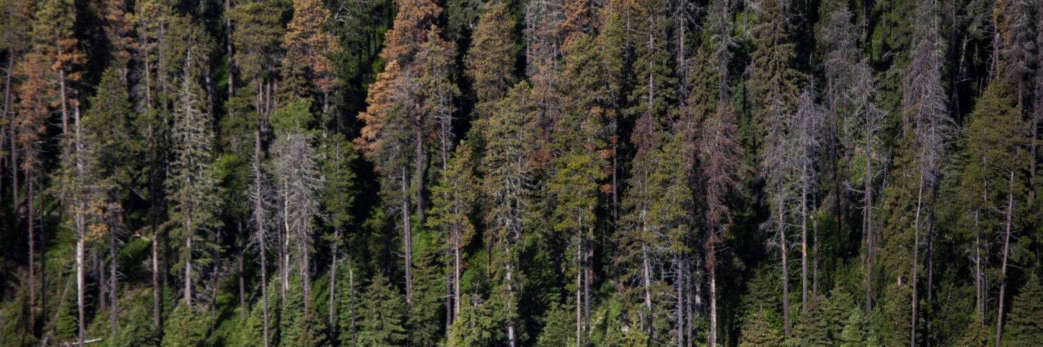 MayKDDR's profile banner image