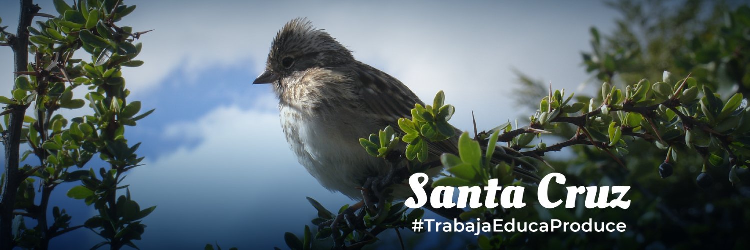 Gobierno de Santa Cruz banner