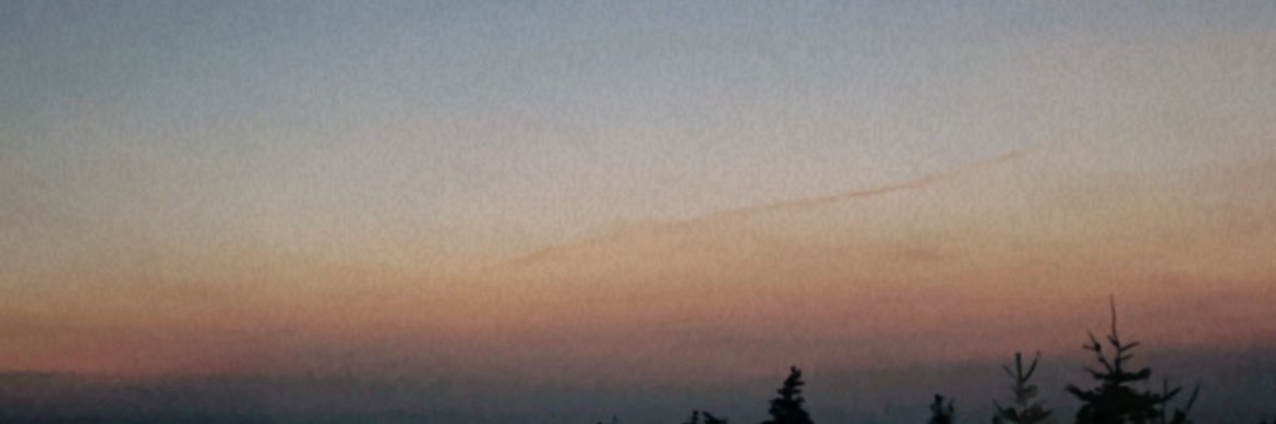 laracalucag's profile banner image