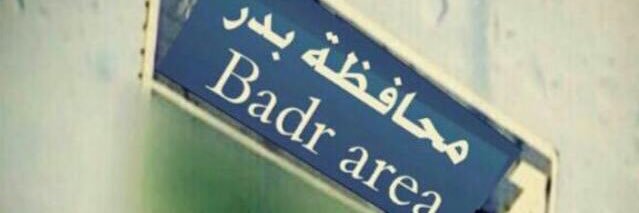 woolf_harb's profile banner image