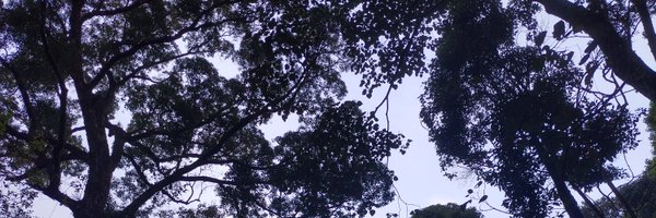 sreejithm1986 Profile Banner