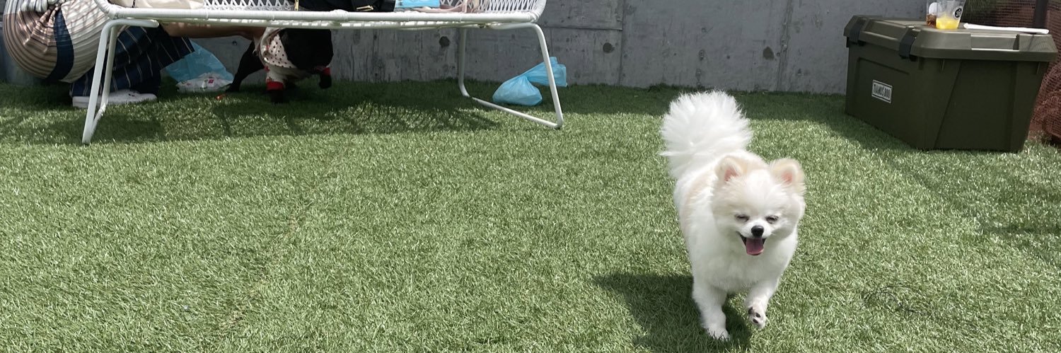 myaa917's profile banner image