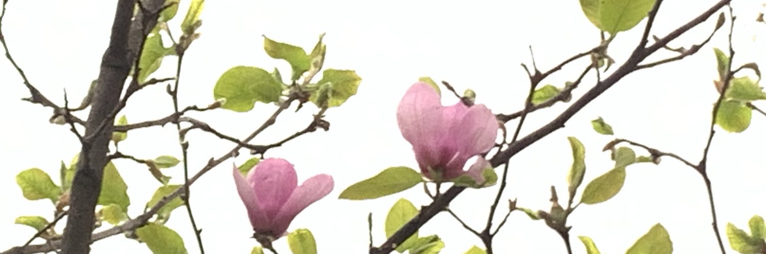 NnligI's profile banner image