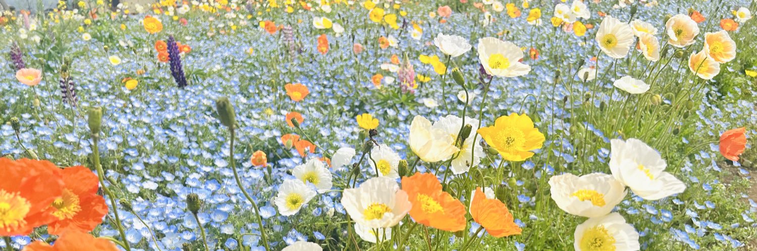 ほしの banner