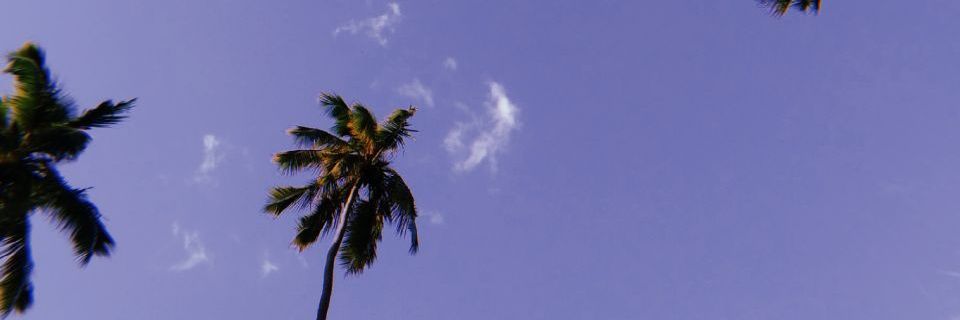 redkill008's profile banner image