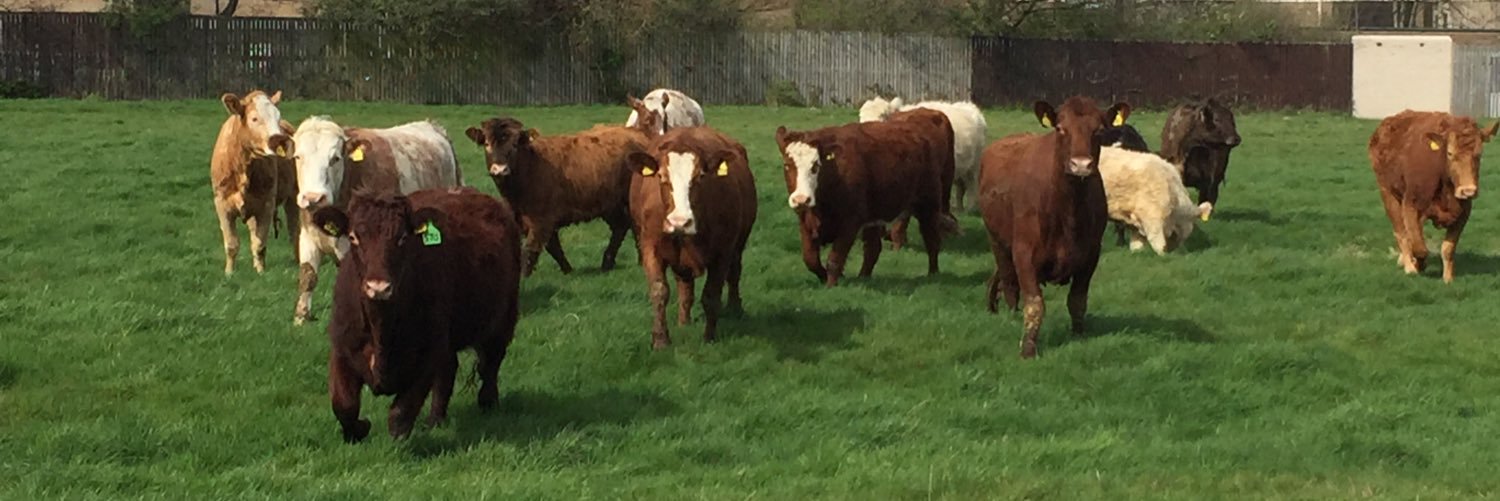 Lord Kebbabreth banner