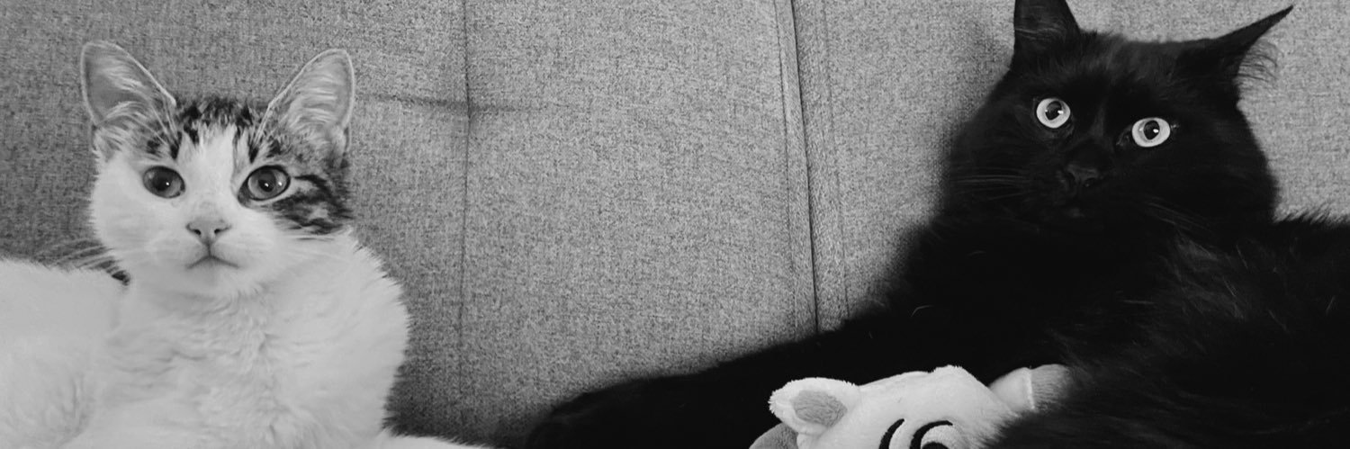 CatelainM's profile banner image