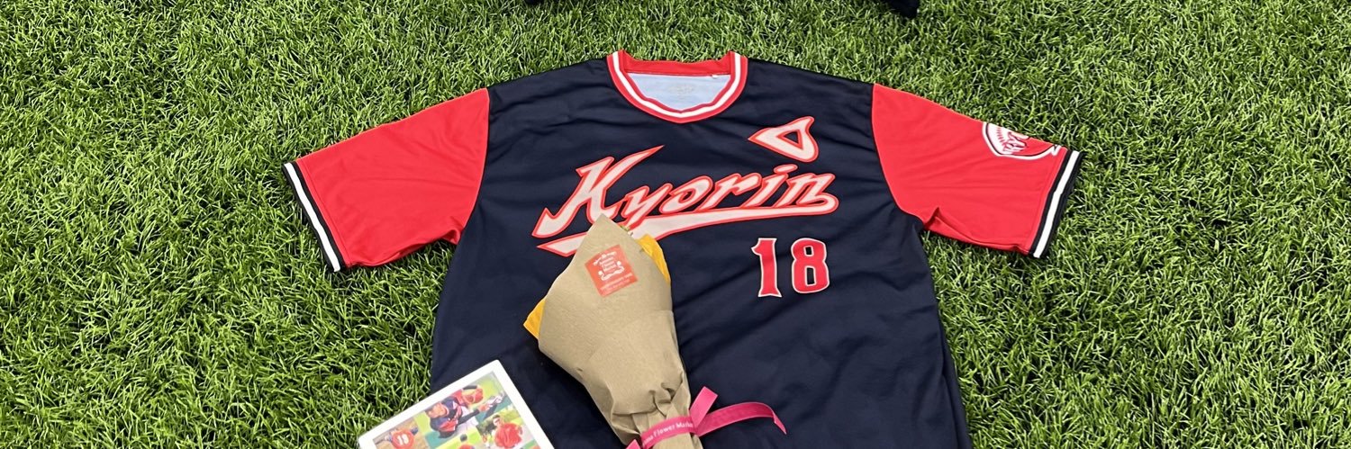 taiponbaseball's profile banner image