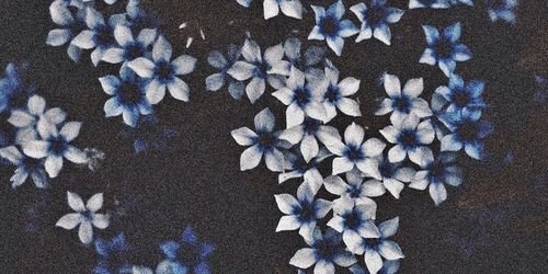 austb's profile banner image