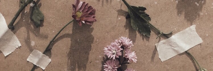 handsoffragile's profile banner image