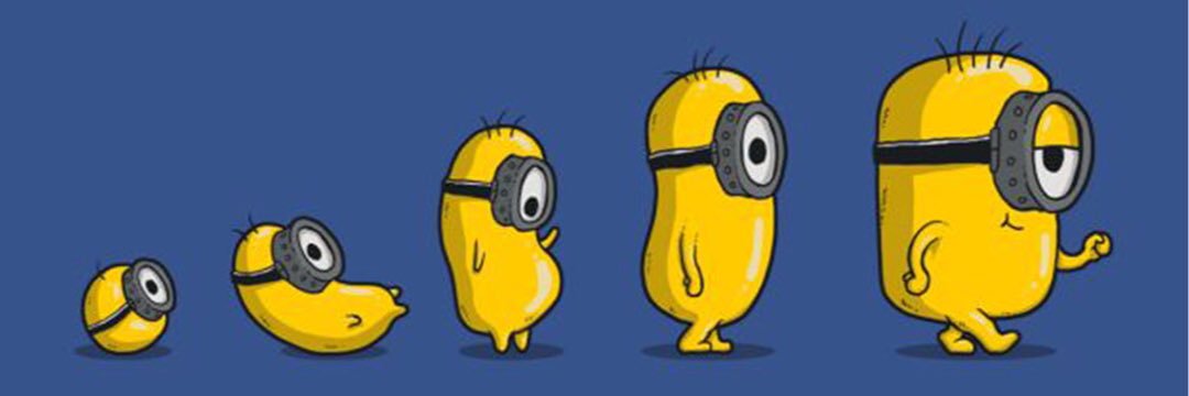chi_zzizz's profile banner image