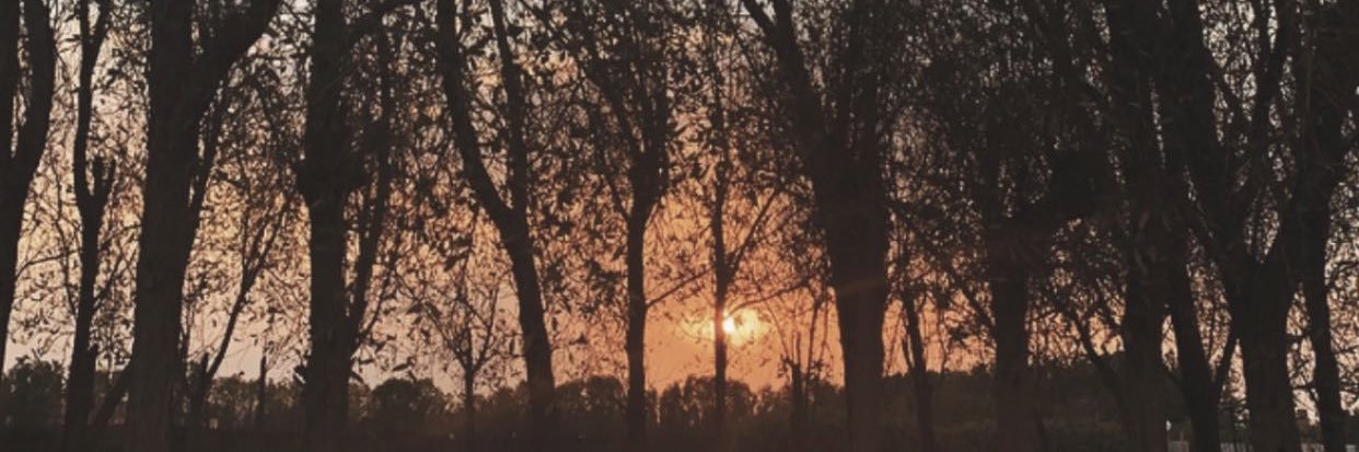 nadaalanzi93's profile banner image