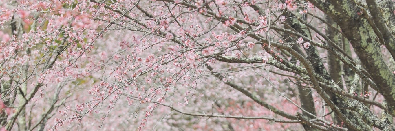 ryo_take1's profile banner image