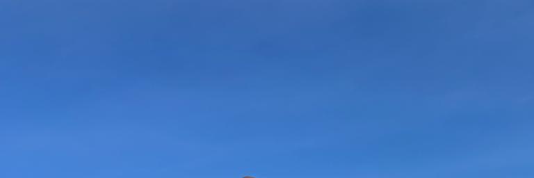 ifehenia's profile banner image