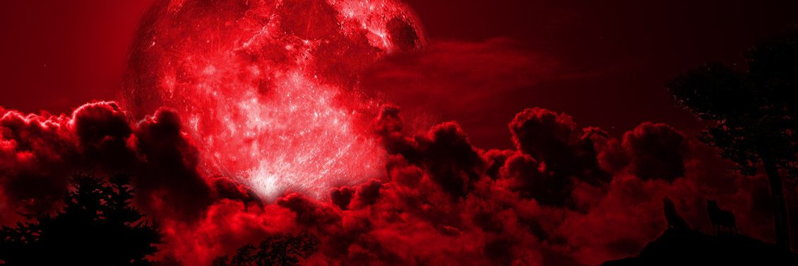 eleetyst's profile banner image