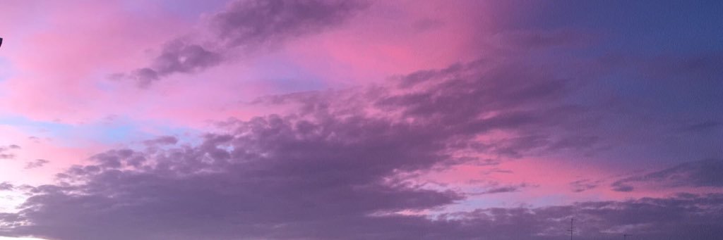 shadesofgrinch's profile banner image