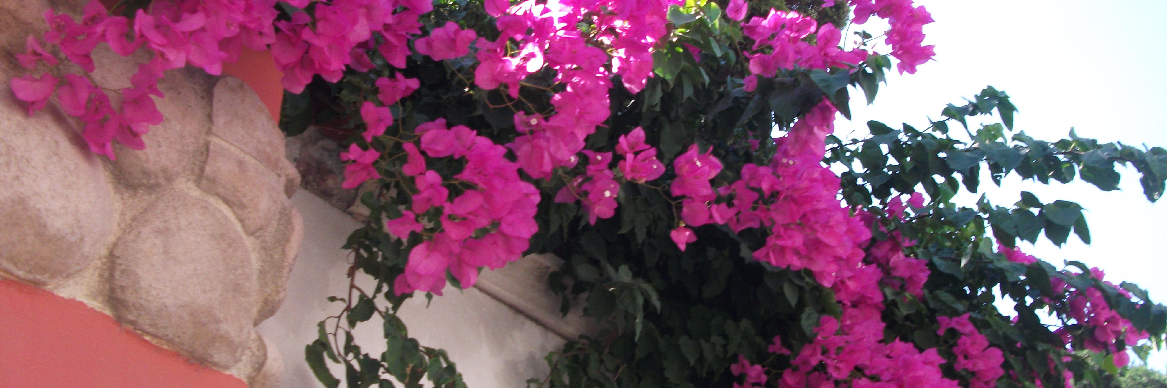 feyz6's profile banner image