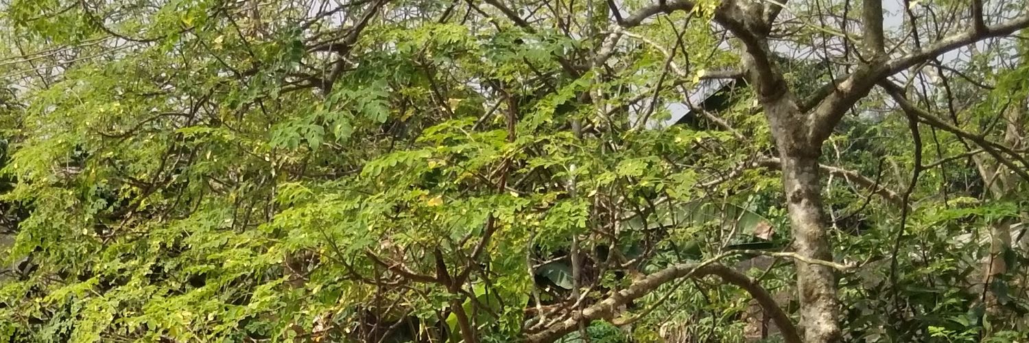 yekeem's profile banner image