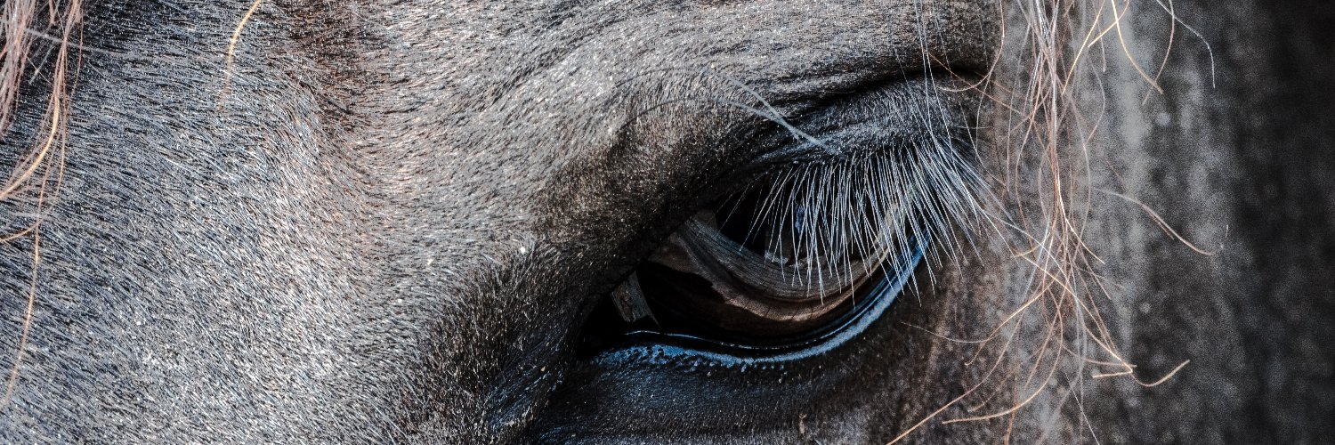 cuinarxcuidar's profile banner image