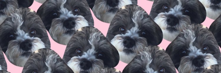 ms_radorable's profile banner image