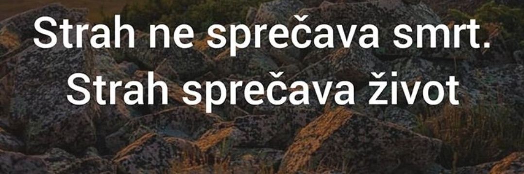 Zlatko Katanić banner