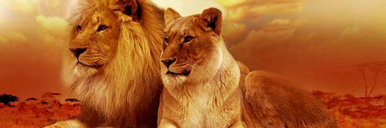 ekinismailoglu_'s profile banner image