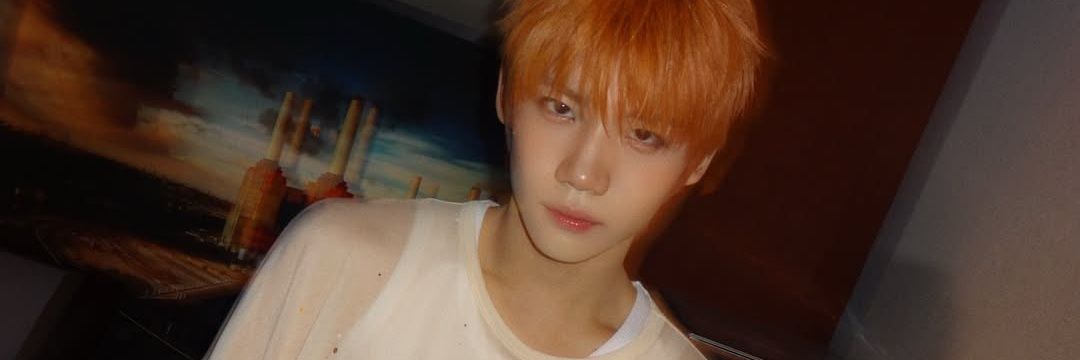 peak4chu_'s profile banner image